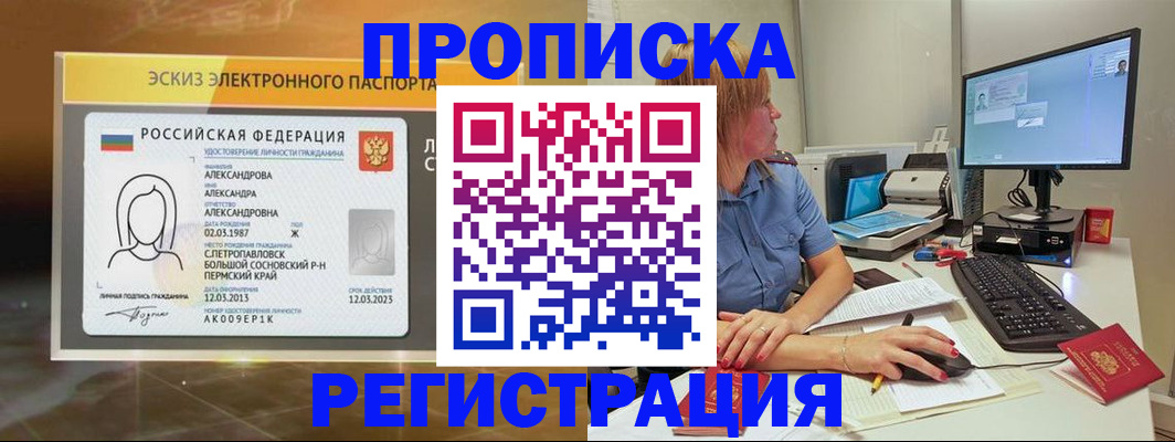 прописка законно в Заринске